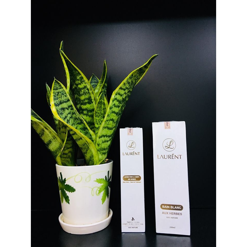 Tắm trắng Laurent