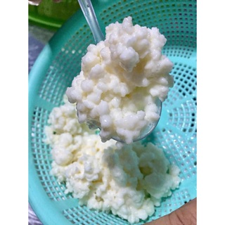 Nấm Kefir làm yaourt(sản phẩm handmade)