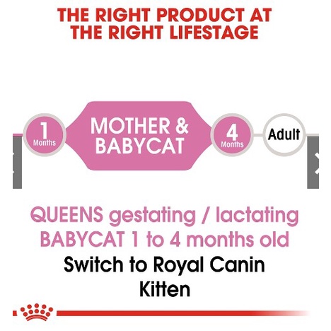 Thức Ăn Hạt Royal Canin Mother & BabyCat – Dành cho mèo con từ 1 – 4 tháng tuổi
