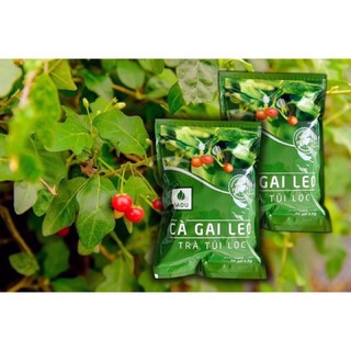 Cà Gai Leo (1kg)