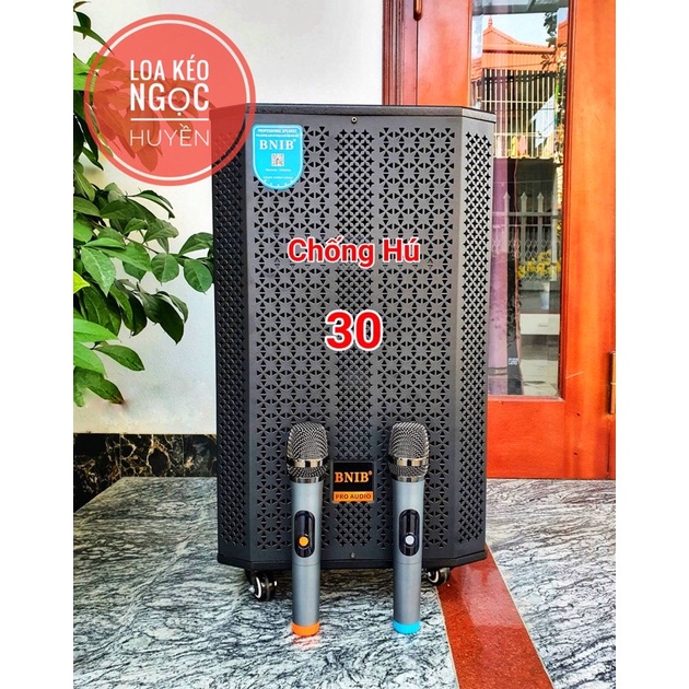 Loa kéo BNIB 1299 Loa kẹo kéo bass 30 hát karaoke tích hợp bluetooth tích hợp Micro không dây Bảo Hành 12 Tháng