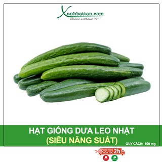 Hạt Giống Dưa Leo Nhật Phú Nông Gói 500 mg