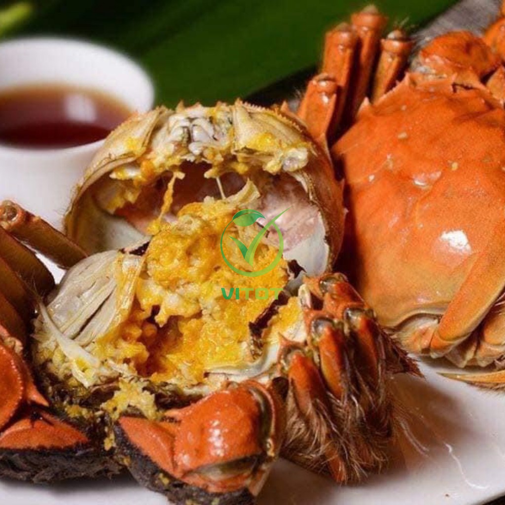 Cua Lông Thượng Hải VITOT Thịt Nhiều Gạch Ngon Đậm Đà