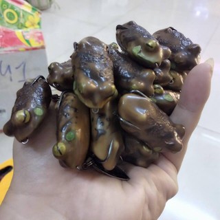 mồi giả thái lan frog toon v4