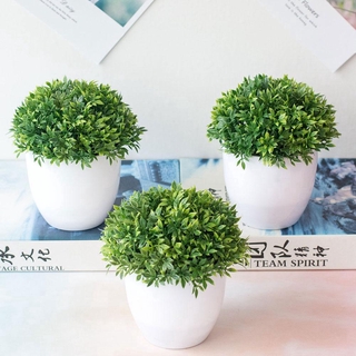 Chậu Cây Giả Trang Trí nội thất