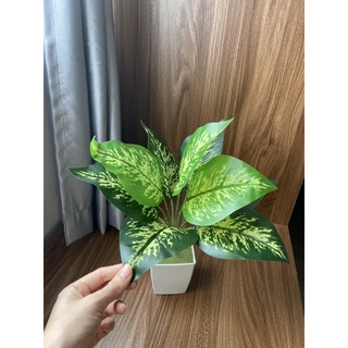 Cây giả - cây lá đốm 30cm/40cm