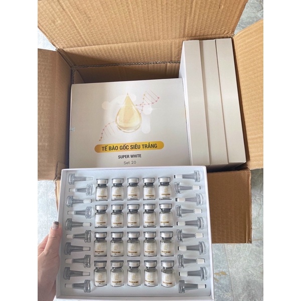 TẾ BÀO GỐC SIÊU TRẮNG SUPER WHITE