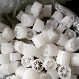 1kg hạt kaldnes
