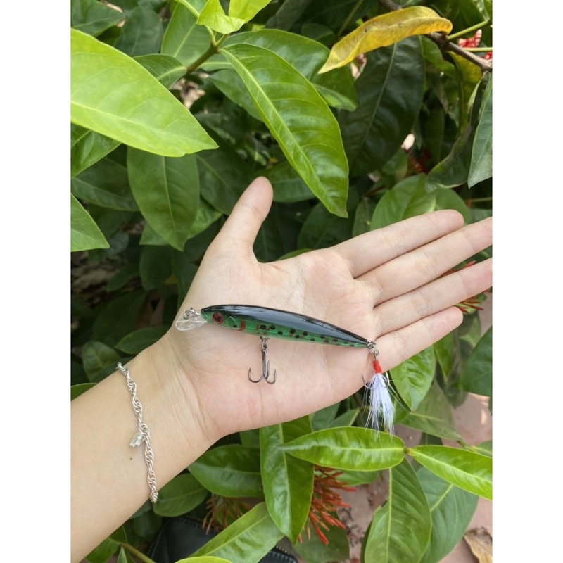 Mồi câu cá Chẽm, cá Mú, cá Ngão, cá Biển đuôi lông