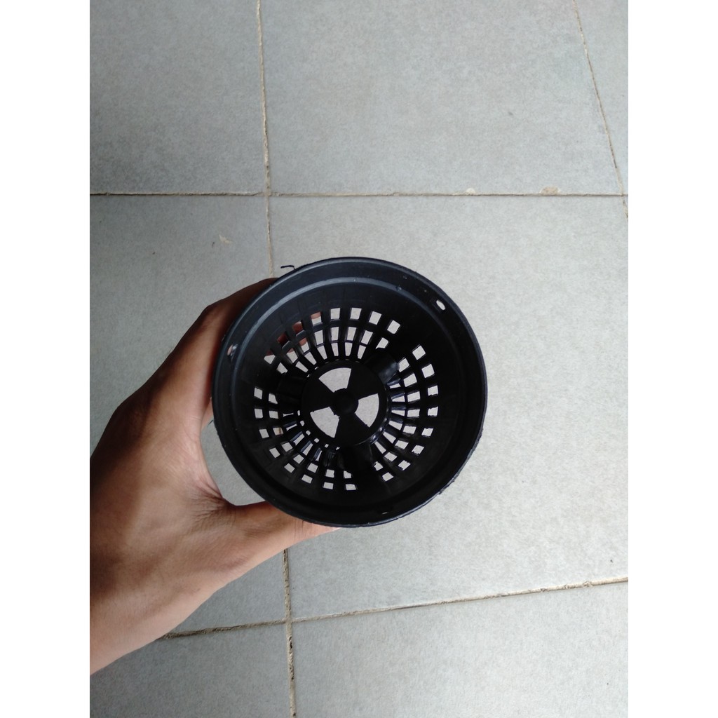 Set 50 chậu lan đen fi 10