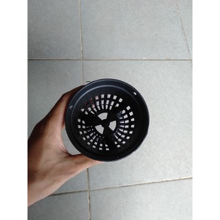 30 chậu lan đen fi 10