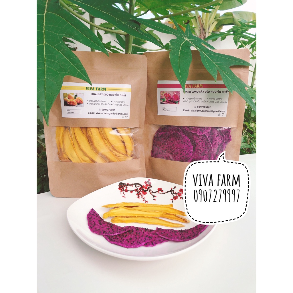 Combo xoài và thanh long sấy dẻo | 200g | trái cây sấy dẻo VivaFarm | trái cây sấy dẻo không đường không chất bảo quản