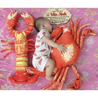 Gấu bông tôm, cua, ghẹ 3D size 1m, quà tặng cho bé hàng loại 1