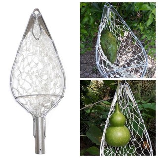 Lồng Hái Trái Cây Inox Cao Cấp | Dụng Cụ Hái Bưởi, Xoài, Mít, Ổi An Toàn | Có Túi Lưới Giữ Trái Chắc Chắn