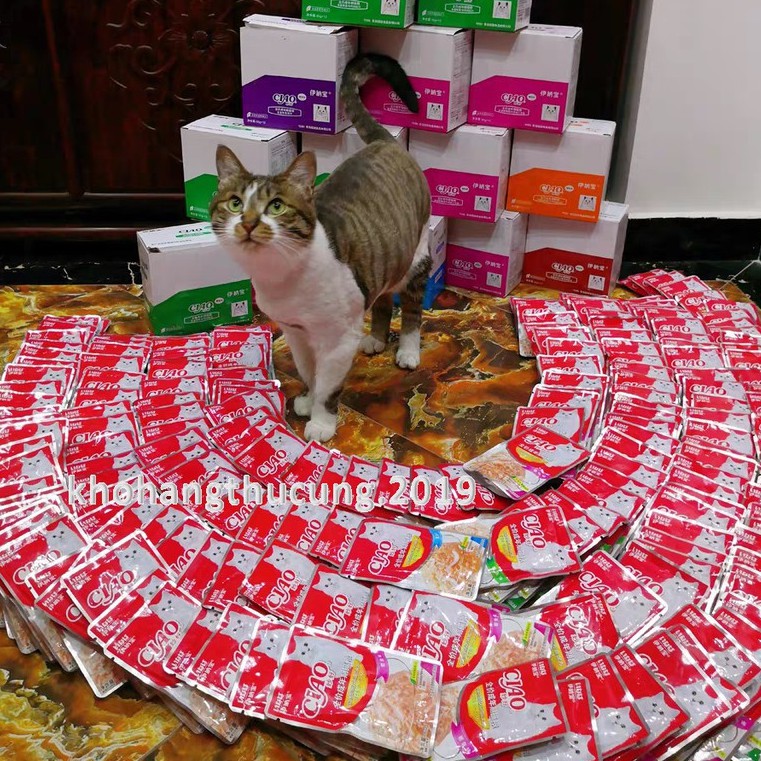 Pate CIAO- cá tươi dinh dưỡng cho mèo kích thích ăn uống- gói 60g
