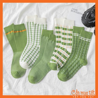 Tất Nữ Cổ Cao Phối Màu Xanh Matcha Cá Tính