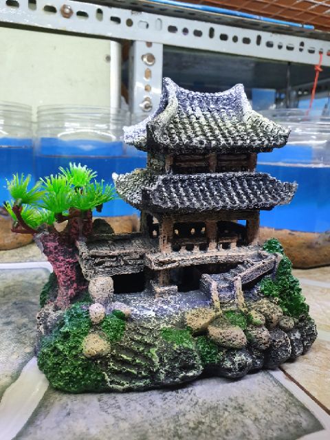 CẢNH TRANG TRÍ HỒ CÁ NON BỘ 15x9x15cm