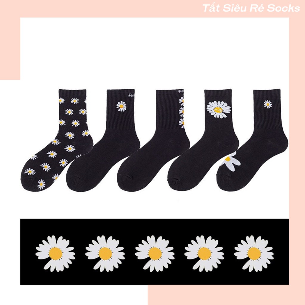 Tất cúc hoạ mi GD peaceminusone VIP GDragon