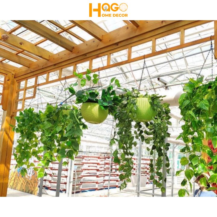 Lá giả,chùm lá treo tường nhiều mẫu trang trí sân vườn, ban công, nhà hàng, quán cafe xanh mát