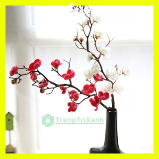 Hoa Giả - Hoa Đào Loại 1 Giống Thật