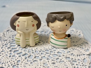 Chậu cây mini