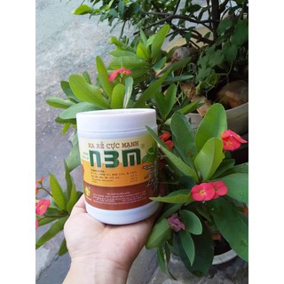 Thuốc Kích Thích Ra Rễ Cực Mạnh N3M