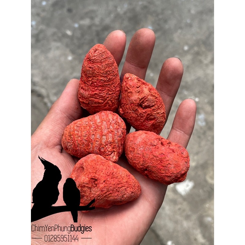 Củ Nghệ Đỏ Cao Cấp Cho Gà Đá 100g (~3 Củ) - Củ Nghệ Gà Chọi.