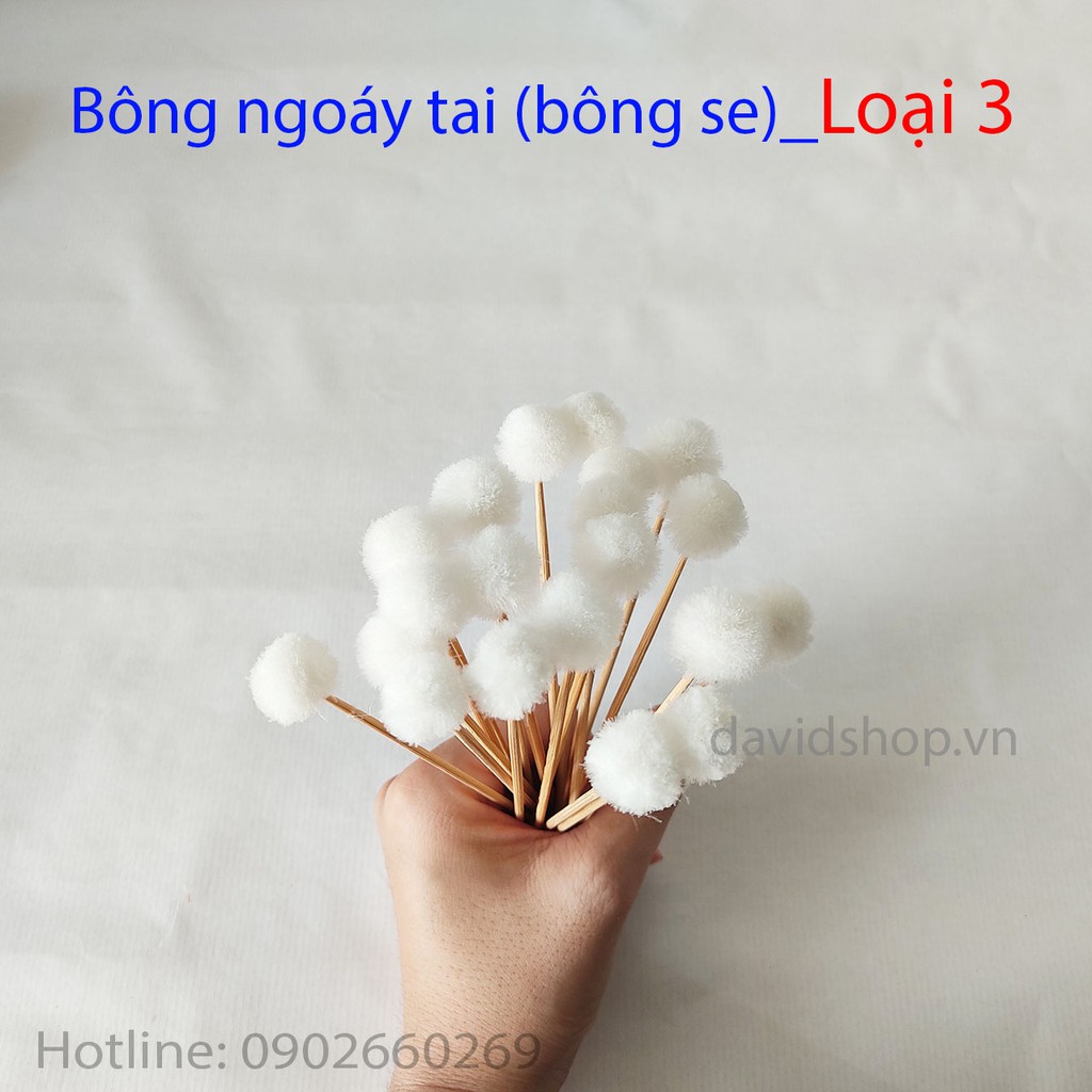Bông ngoáy tai lông se bộ 5 cây, 20 cây dụng cụ lấy ráy tai loại 1, loại 2, loại 3