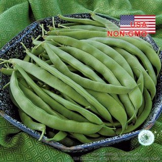 hạt giống đậu cove leo hạt đen hoa tím nhập khẩu-  chuyên dụng.