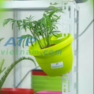 Chậu nhựa trồng cây loại treo cột