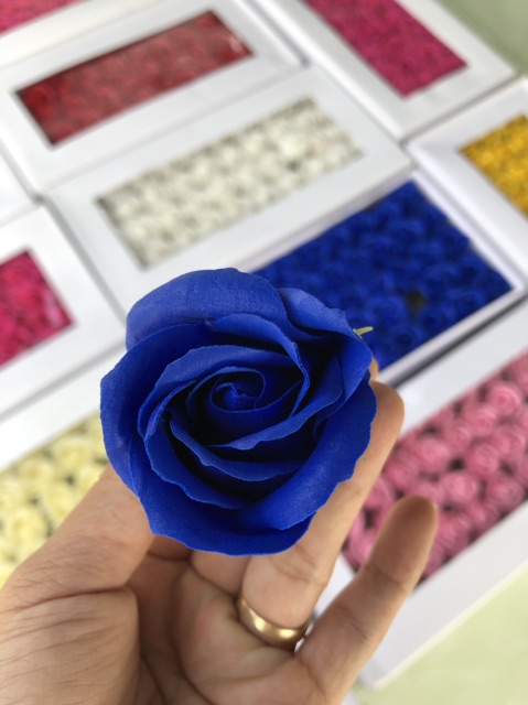 Hoa hồng sáp hộp 50 bông đẹp | BigBuy360 - bigbuy360.vn