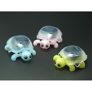 Đồ chơi Rùa mini năng lượng mặt trời