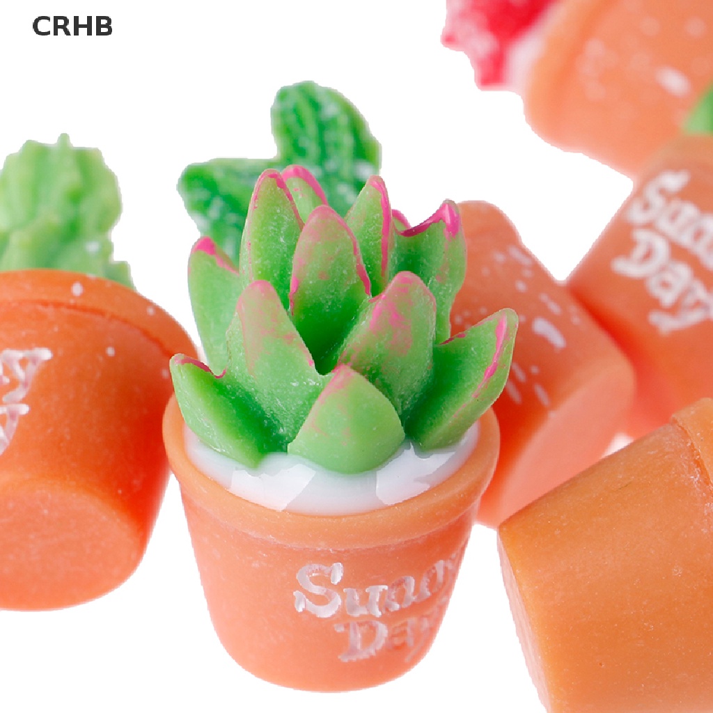 Crhb Set 5 Cây Xương Rồng Bằng Nhựa Resin Nhỏ Tự Trang Trí Chậu Cây Bonsai Mới