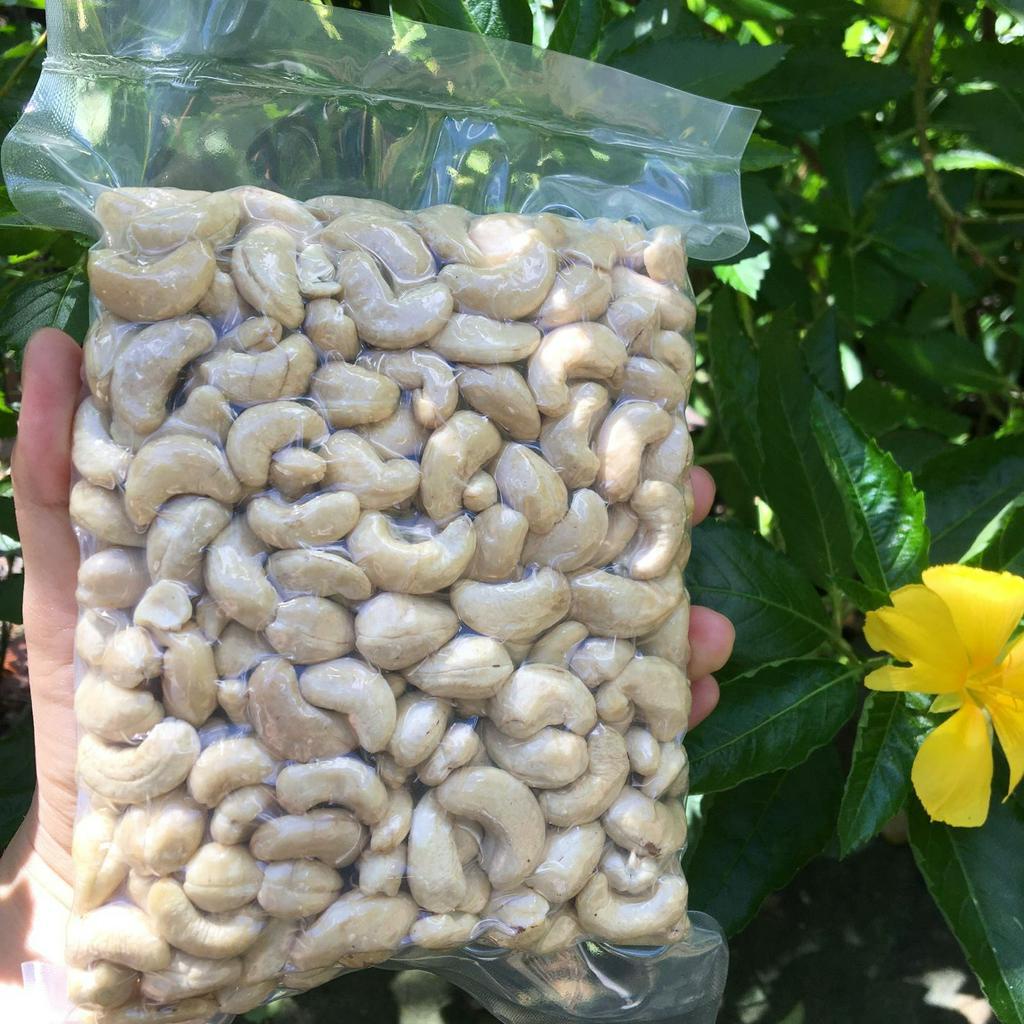 Hạt Điều Sống Bình Phước Nguyên Hạt - Thích Hợp Dùng Nấu Sữa