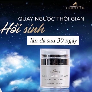 Kem dưỡng trắng da ban đêm chuyên sâu - Night White Cream chính hãng CamelliaH