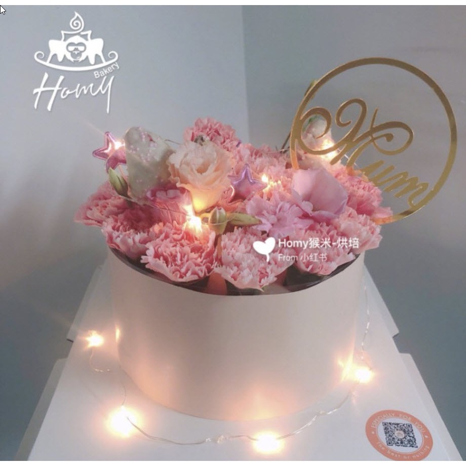 [HCM] Dây đèn led đom đóm, đèn fairylight dài 2M/3M/5M/10M/20M dùng trang trí dùng pin LR44 / USB