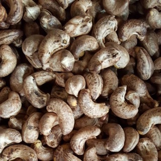 Hạt điều xuất khẩu loại I