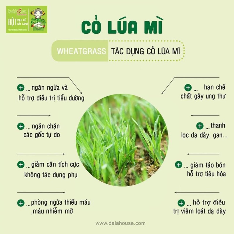 Combo bột rau xanh Dalahouse (hộp 20 gói x 3g) (kale, lúa mì, bó xôi, cần tây)