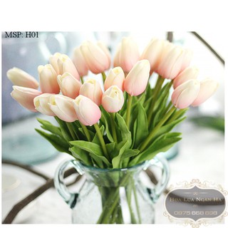 HOA TULIP XỐP DẬP