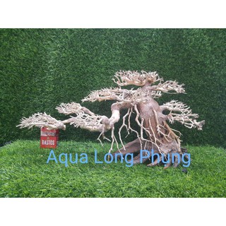 Lũa Bonsai hồ cá dáng Nghiên  N60cm,C30cm.