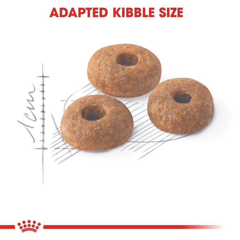 Thức Ăn Hạt Royal CANIN Fit 32-10Kg cho Mèo Yêu