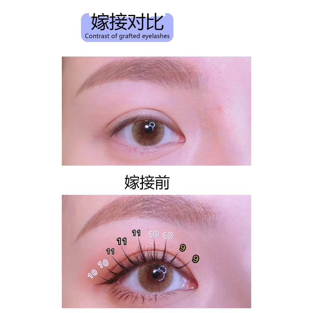 MI GHÉP CHO ĐÔI MẮT DÀI CONG TỰ NHIÊN
