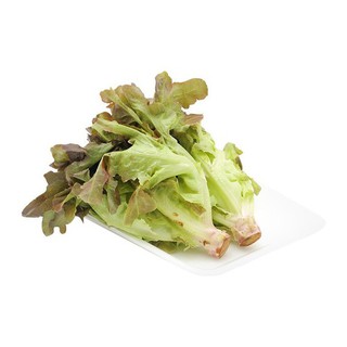Hạt giống xà lách Oakleaf / Xà lách sồi tím gói 2gr