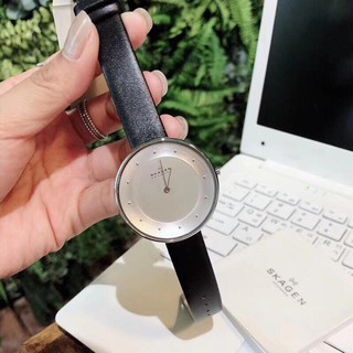 Đồng hồ nữ Skagen SKW2232