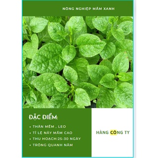 Hạt giống rau mồng tơi xanh (mùng tơi)_30 hạt