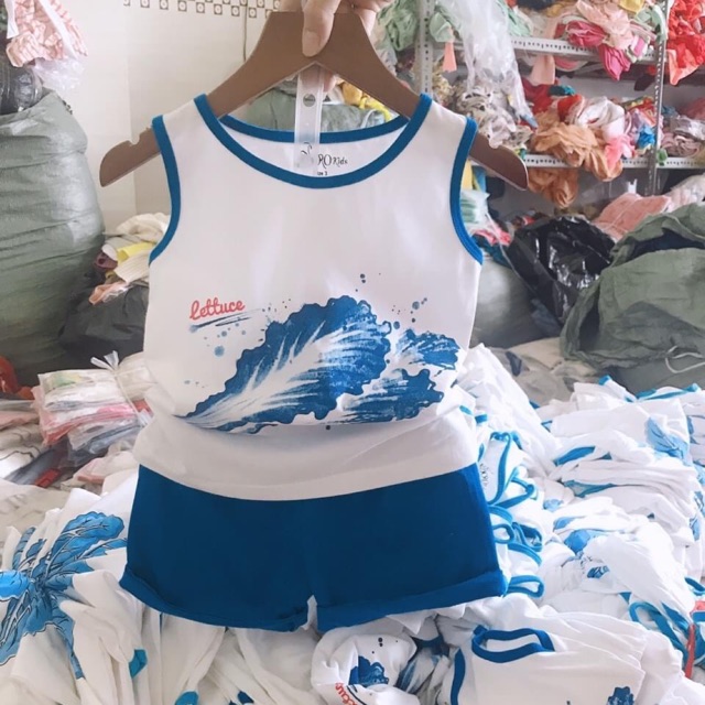 Combo bộ rau củ