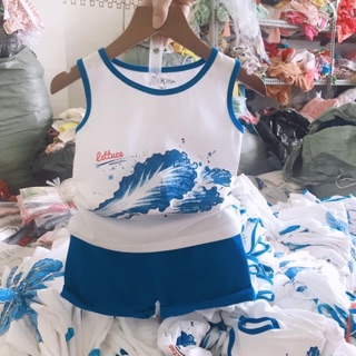 Combo bộ rau củ