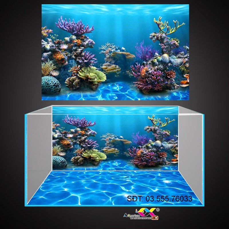 Tranh 3D dán hồ cá, bể thủy sinh mẫu san hô siêu đẹp, tranh có keo sẵn trên bề mặt, có thể in theo kích thước yêu cầu