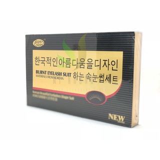 Set Uốn Mi Collagen Hàn Quốc