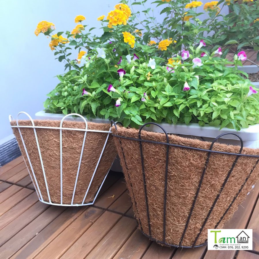 Chậu xơ dừa Taman Home, chậu trồng cây áp tường, chậu ốp tường, chậu treo tường size 32x22x18cm